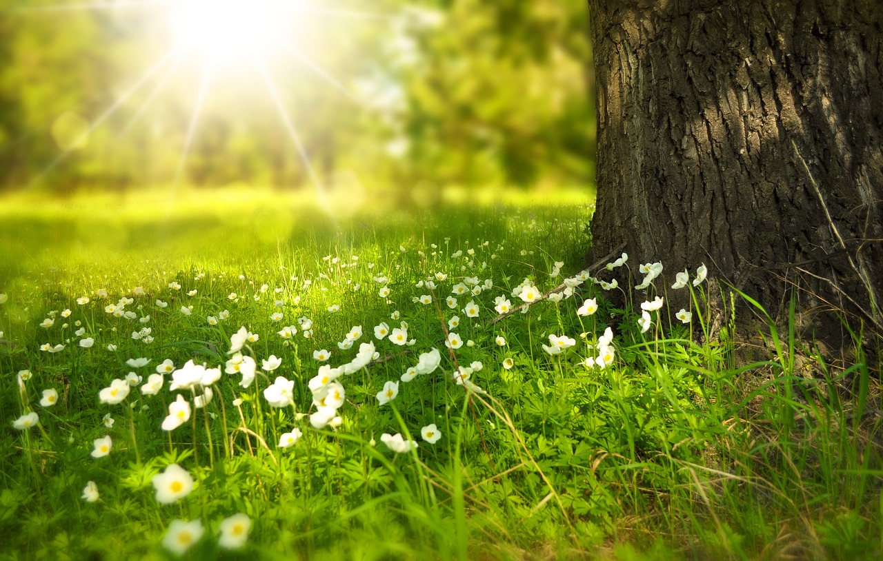 Yoga im Alltag Yoga im Alltag